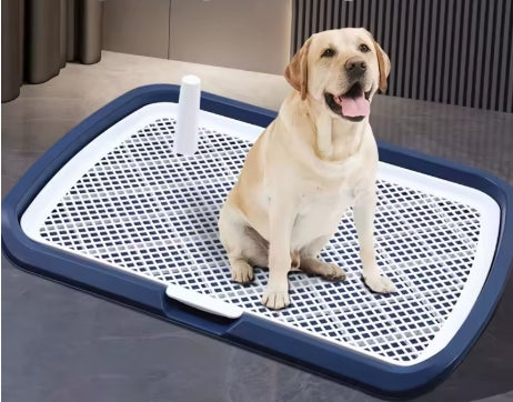 Bandeja Sanitaria para Perros con Rejilla – Entrenamiento Antipipí Reutilizable