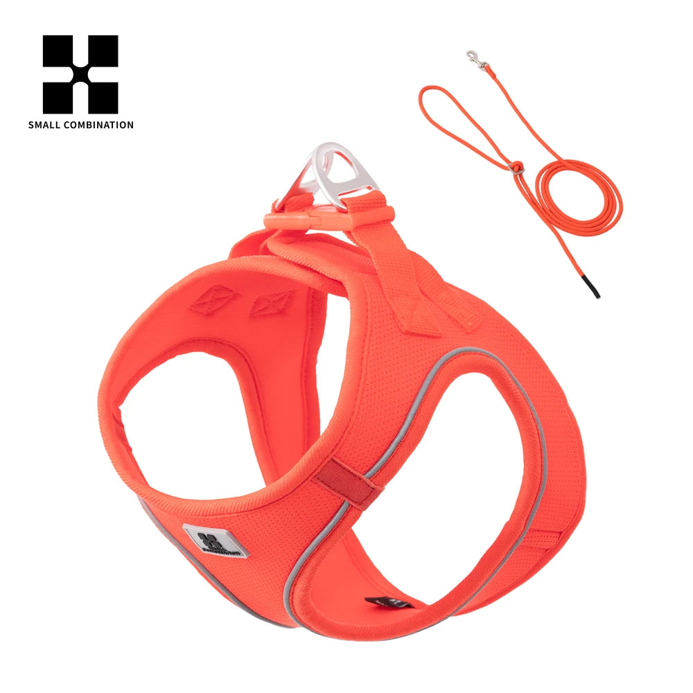 Arnés y Correa para Perros y Gatos – Ajustable, Reflectante y Cómodo